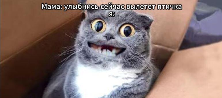 жиза