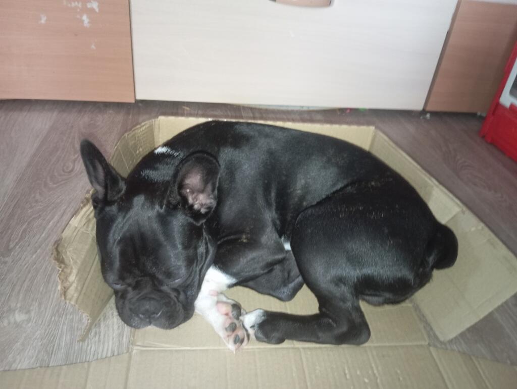 Это ты после работы или школы. И неважно куда но ты пойдёшь спать 😴😪