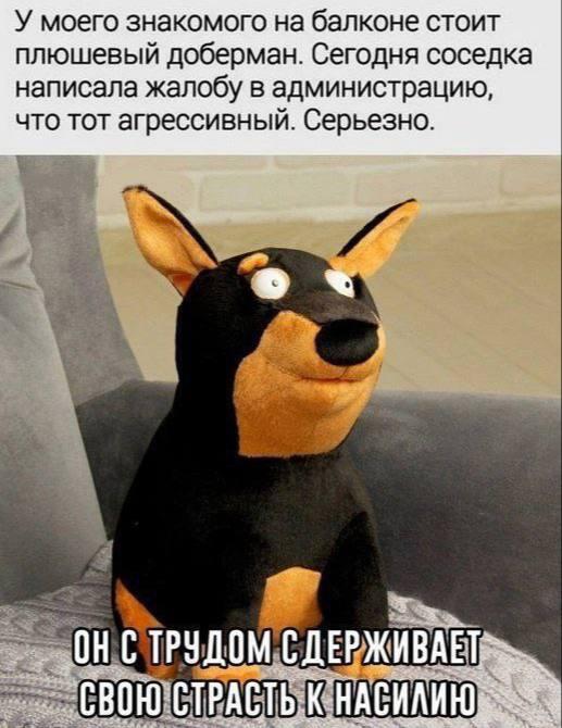 Мем от misfortune official