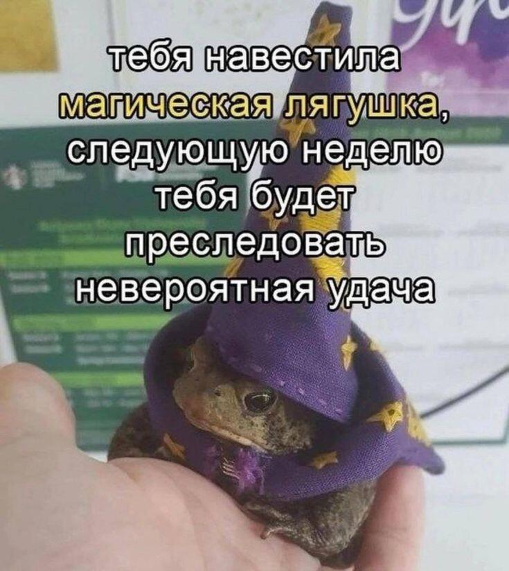 Среда🪄✨