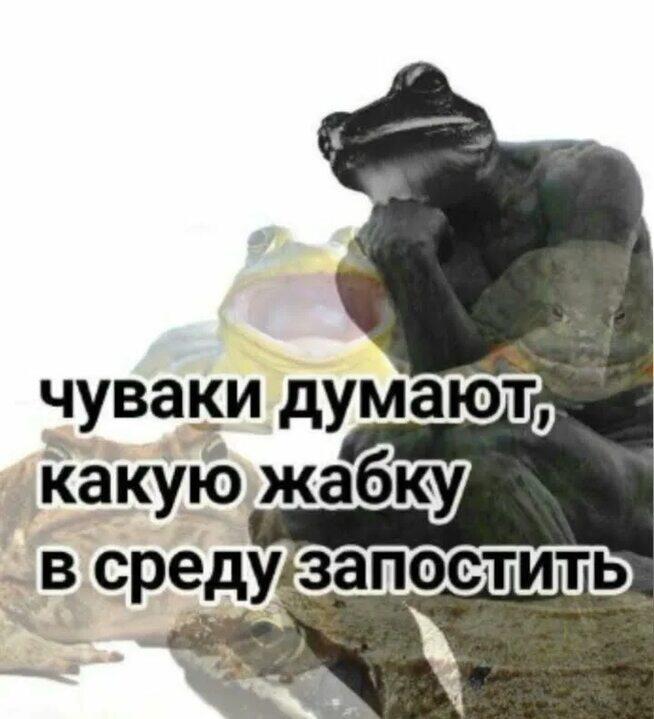 Мем без подписи