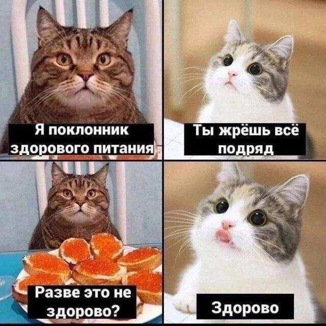 Как же хорошо когда не толстеешь
🤤
🍜