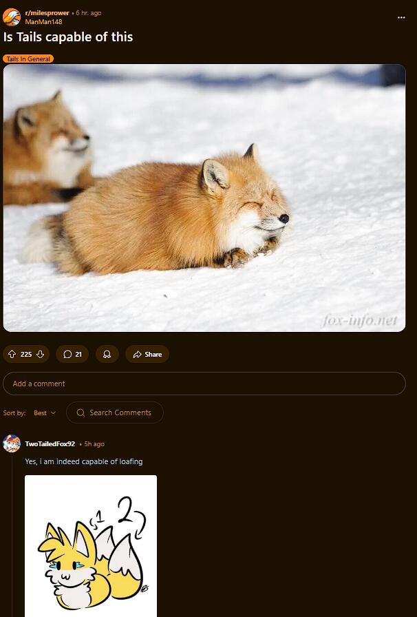 Мем от 🦊🟪 (2️⃣)