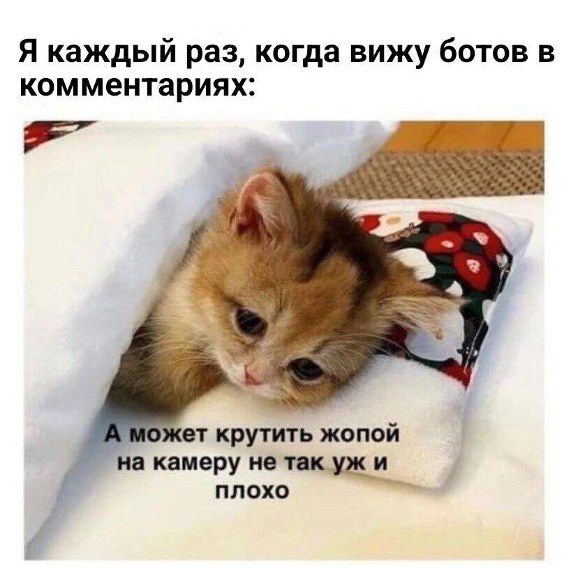 Сделала самый актуальный мем для тг. Кто тоже постоянно ботов видит?