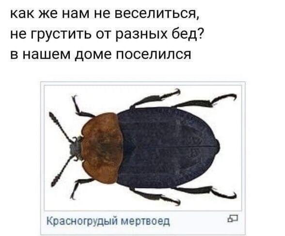 Мем от Wiro_noxiK