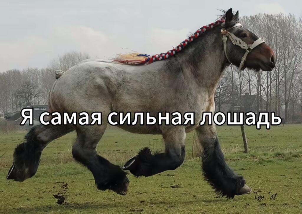 Имба