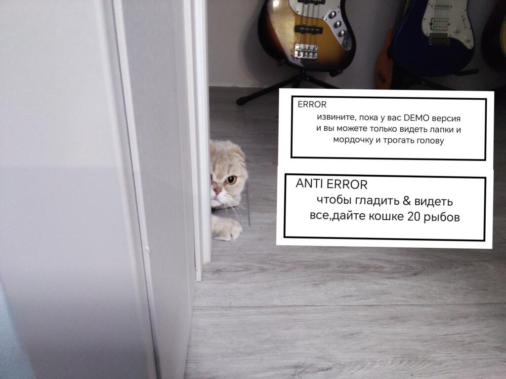 Ваши действия?