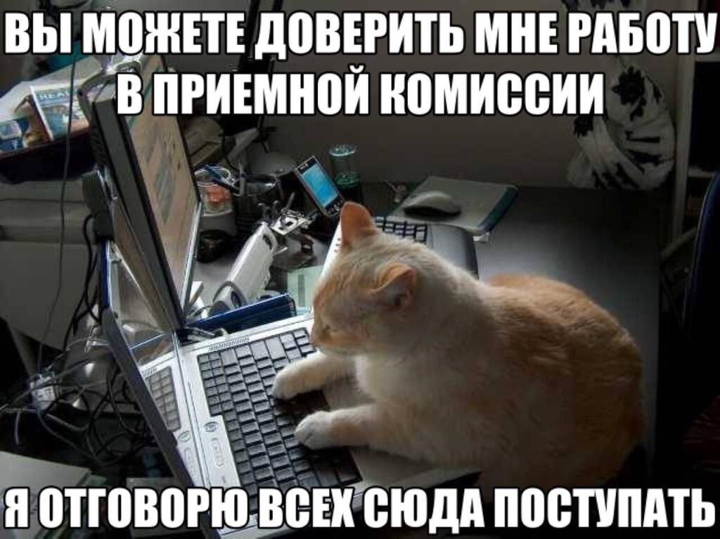 Мем от misfortune official