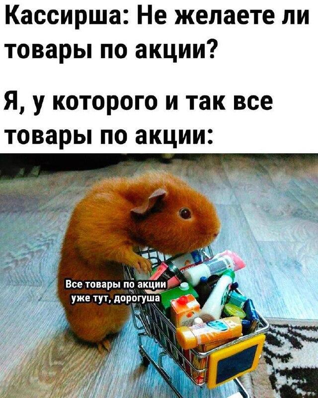 Мем без подписи