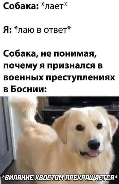 Мем без подписи