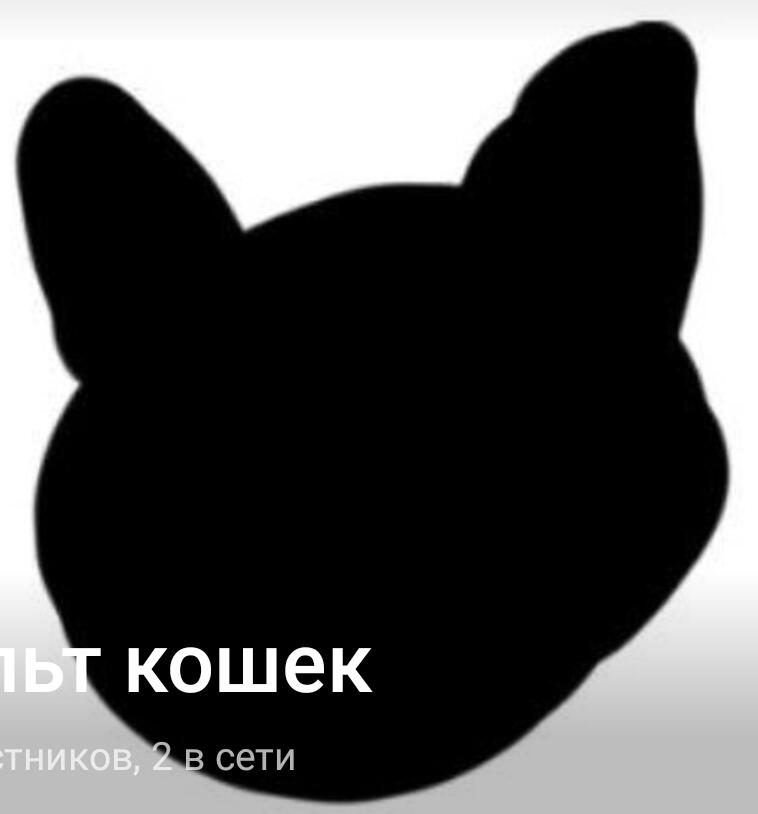 У меня есть культ кошек в телеге, там полная шизофрения, если что вот ссылка: t.me/kult_koshek