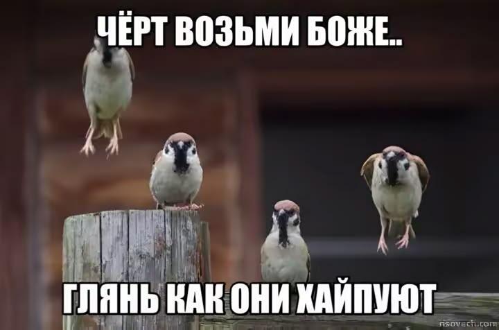 крутые 🤙🤙🤙