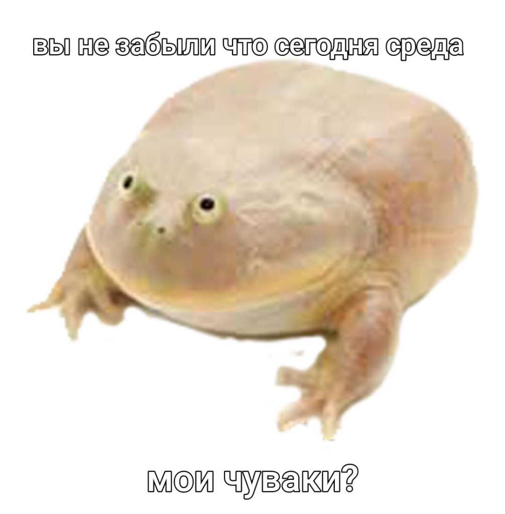 Мем без подписи