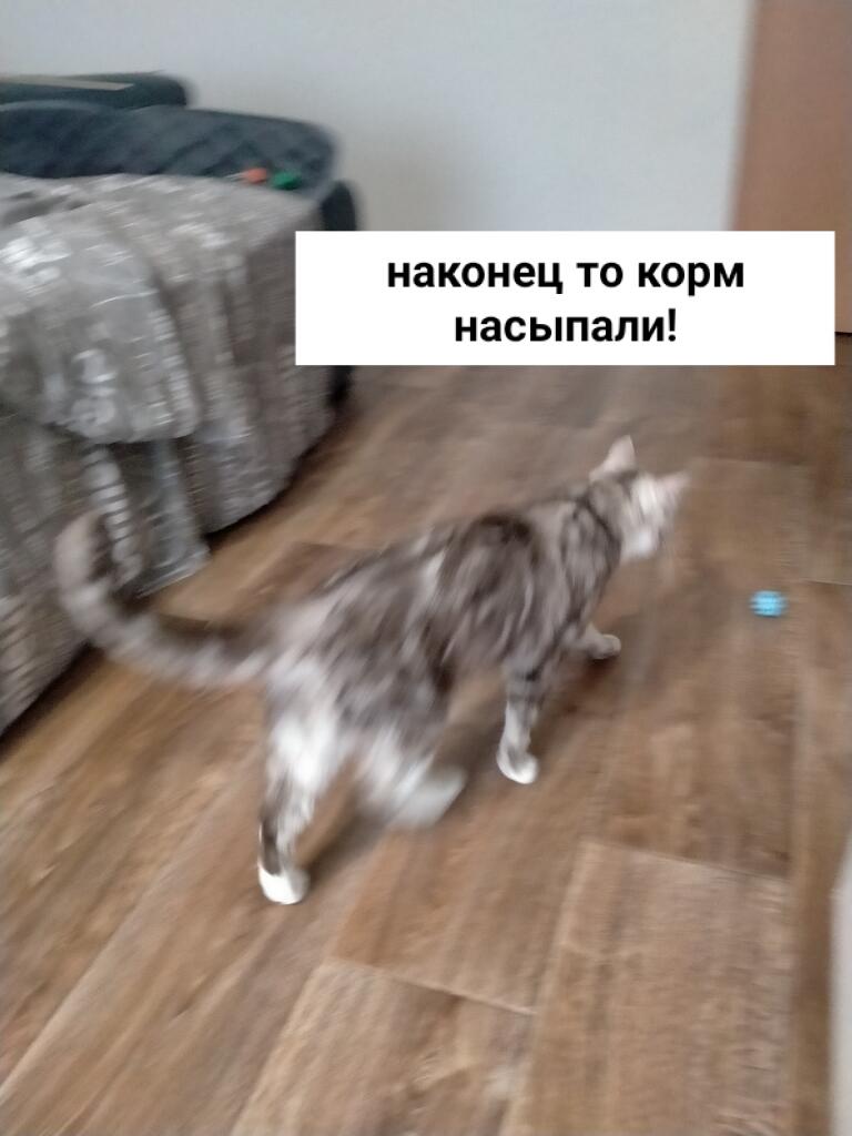 Код настолько быстро бежал... Ну и вот почему картинка нечёткоя
