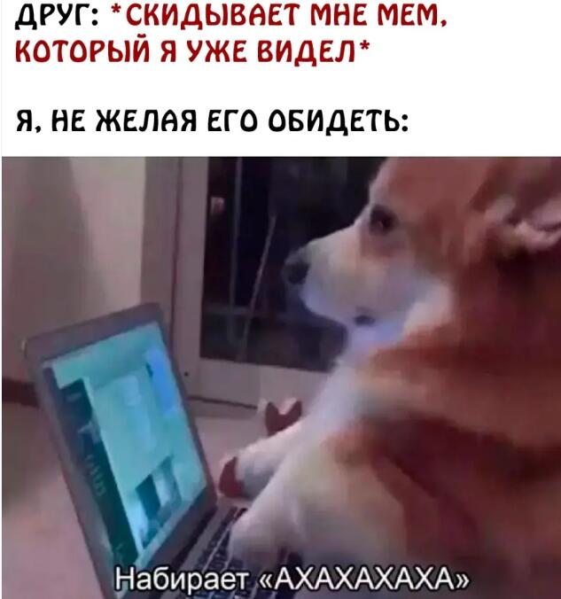 Мем без подписи