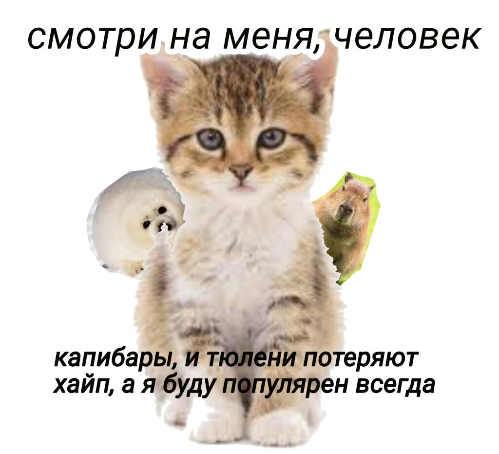 Мем без подписи