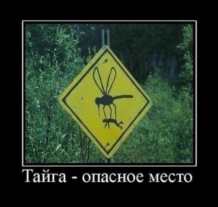 Мем без подписи