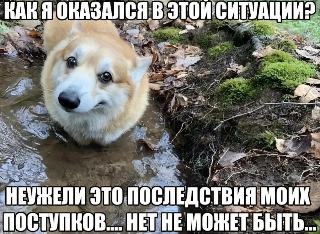 Мем от Амбассадор Молочного Завода не