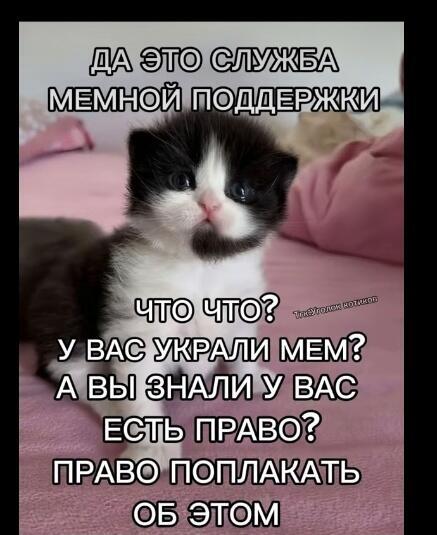 я нагло украл мем