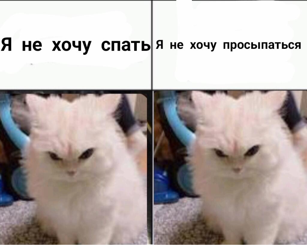 СОМОдельный мем