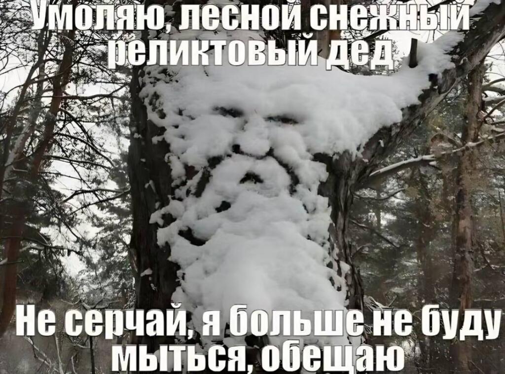 Мем от 𝔱𝔥𝔢𝔫𝔬𝔯𝔴𝔢𝔤𝔦𝔞𝔫𝔨𝔫𝔦𝔤𝔥𝔱