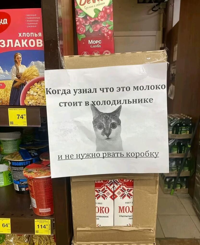 Бумажный лист с текстом про молоко и фото напуганного серого кота