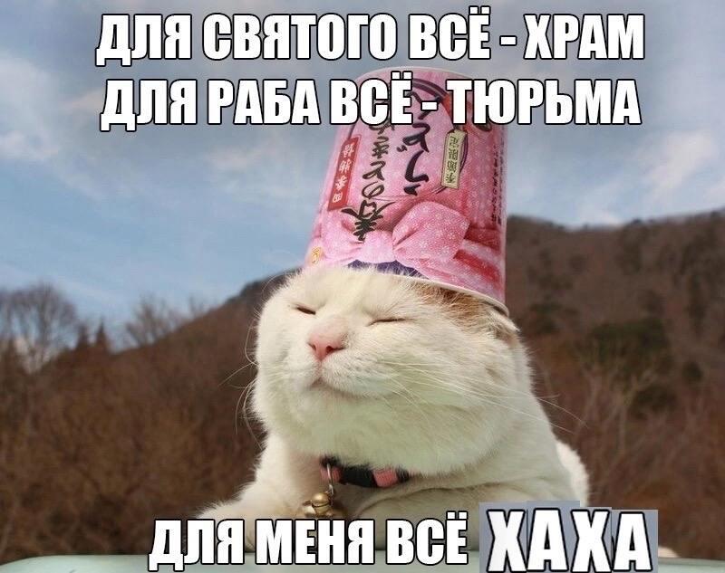 Пхвхвхвхвх