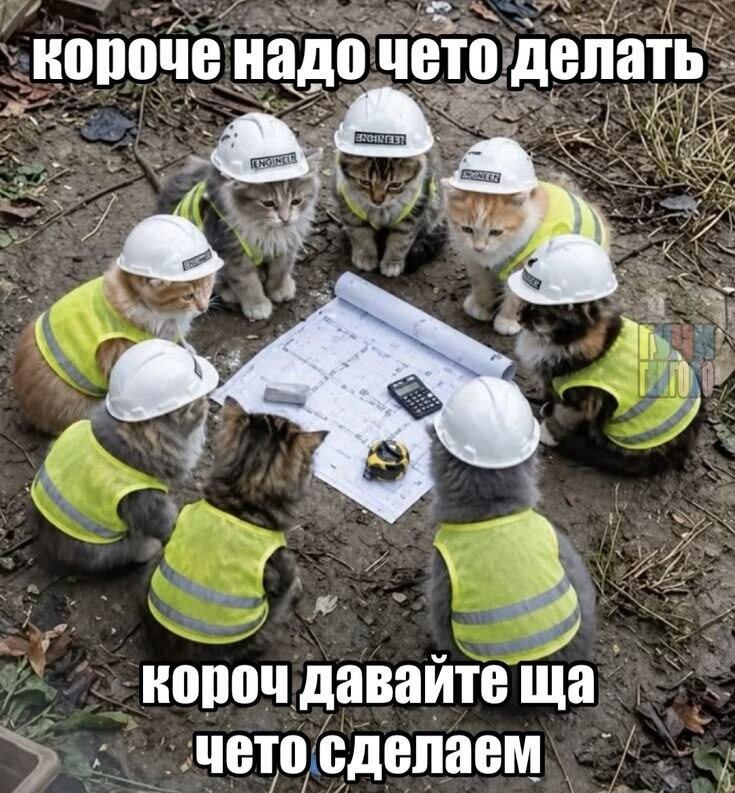 В сеть слили кадры собрания ПЛМ