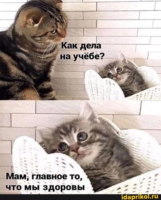 Всем, у кого приближается конец первой четверти, посвящается: