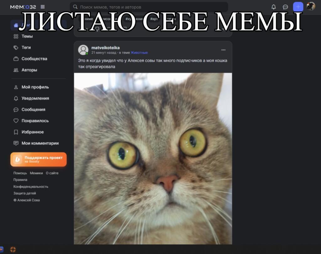 Мем без подписи