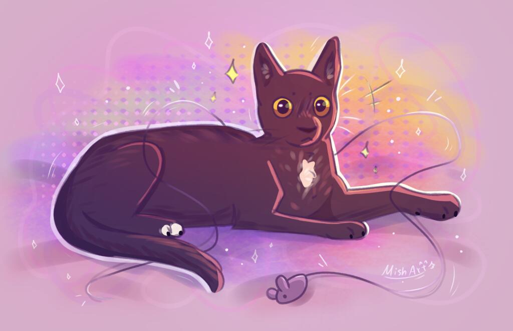 Моя кошечка Буся (=^･ω･^=)