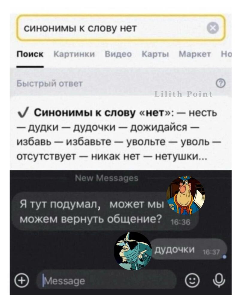 Скриншот поиска Яндекса с синонимами к слову нет и переписка с ответом дудочки