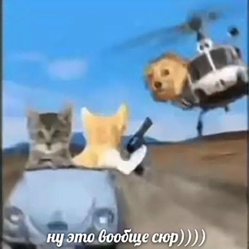 Мем без подписи