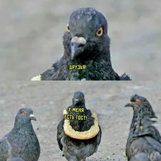 Мем от prestige