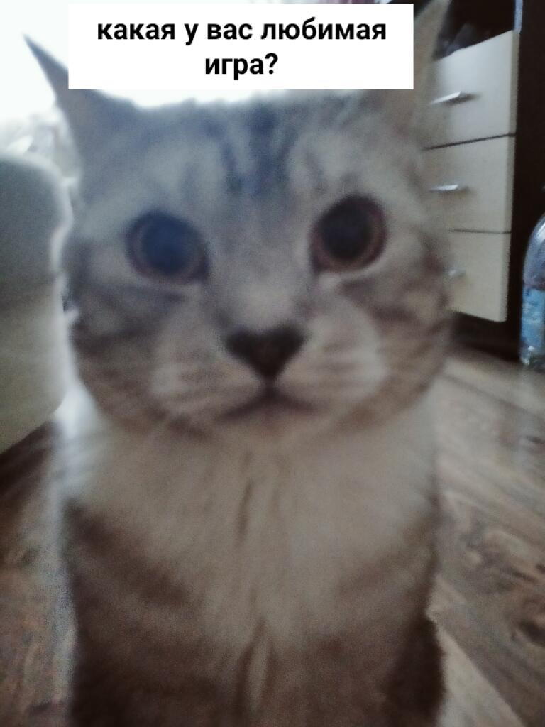У меня battle cats (простите что так долго не было мемов,и я не знаю ч...