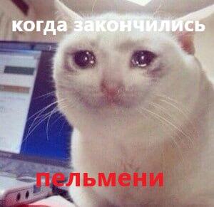 Мем без подписи