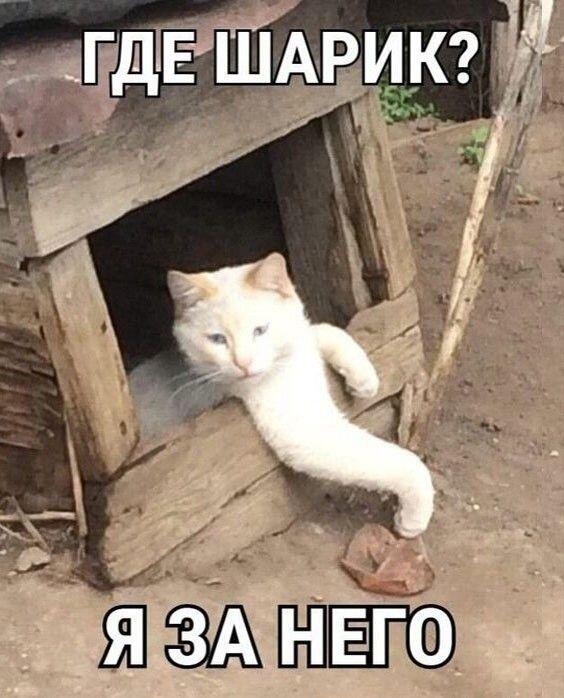 Мем без подписи