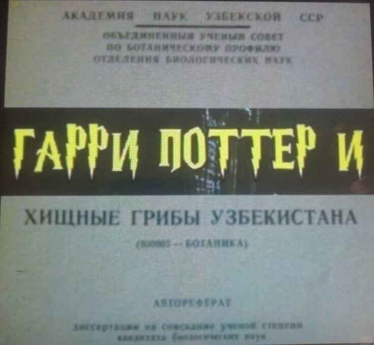 Мем без подписи