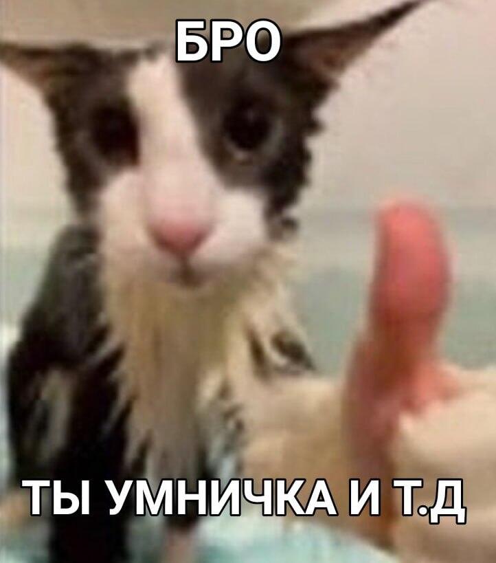 I always come back