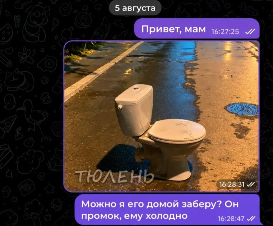 Скриншот переписки: фото мокрого унитаза на дороге с подписью Тюлень, и вопрос маме можно ли забрать его домой