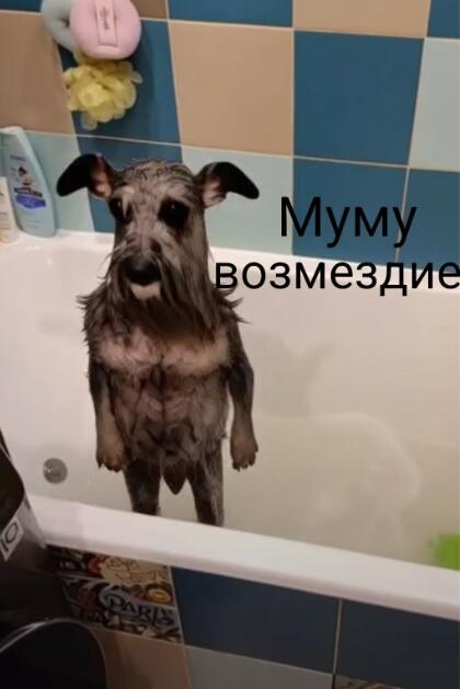 Мем без подписи