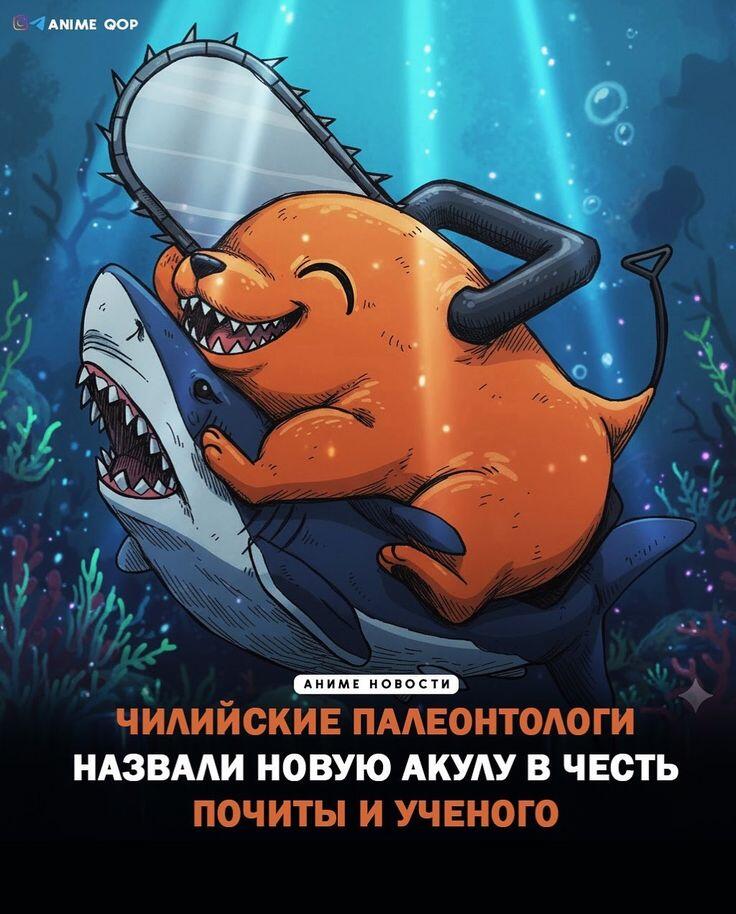 Аниме-иллюстрация демона Пачиты, который улыбается, оседлав акулу с открытой пастью