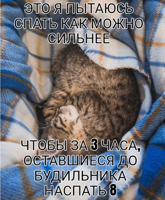 Полосатый кот крепко спит, завернувшись в клетчатое одеяло. Надпись о том, как сильно нужно спать, чтобы за 3 часа выспаться на 8