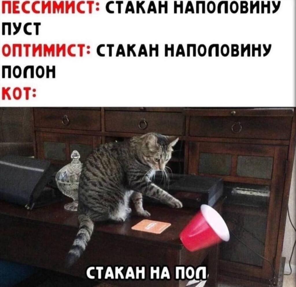 Мем от Rusty_W1nd🥫