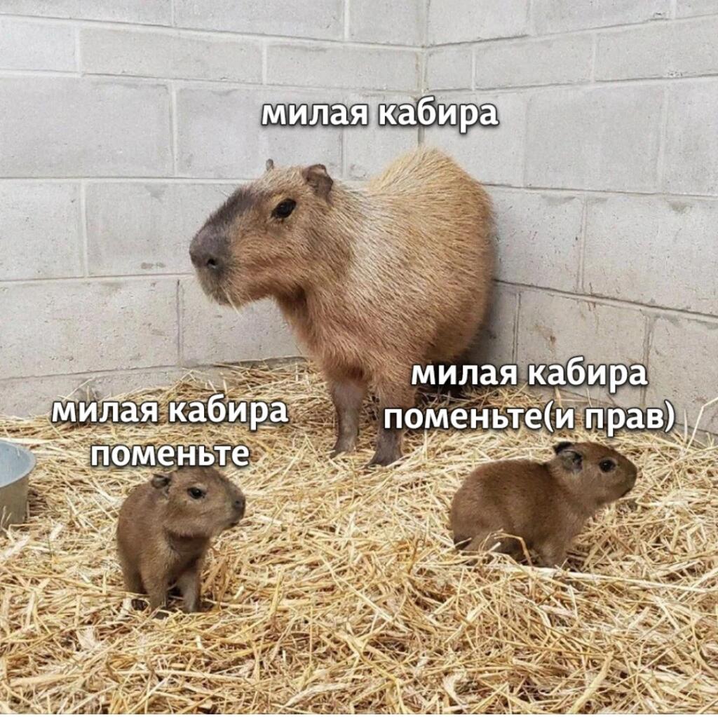 Мем от Мемный челик ²⁰²⁵ official