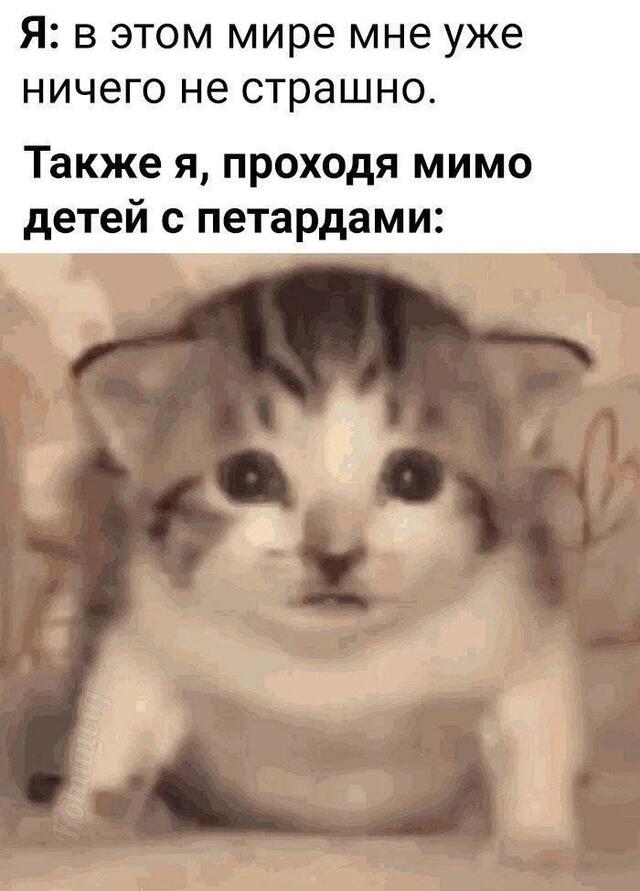 Мем без подписи
