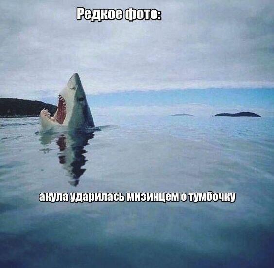 Скорее об берег