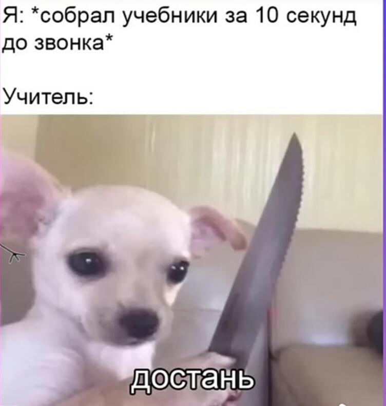 Жиза?