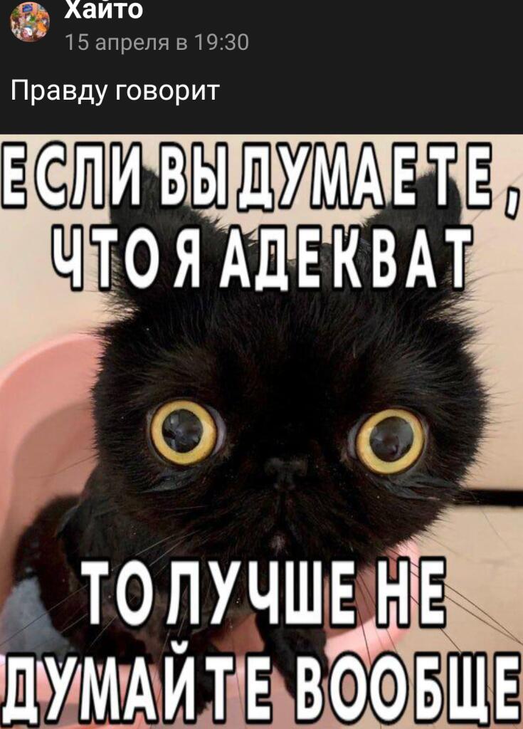В крадце о моей училке: