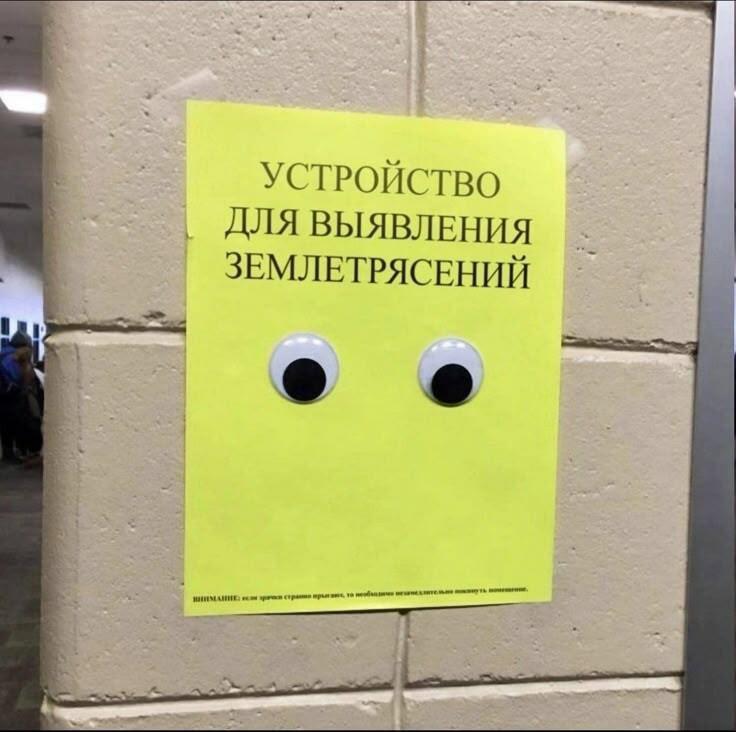 Мем от Империя кактусов[ПЛМ]
